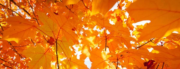 Orange Abstract — Stock Photo, Image