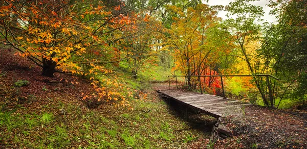 Caminata de otoño —  Fotos de Stock
