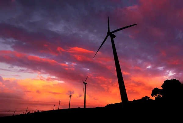 Energía limpia —  Fotos de Stock