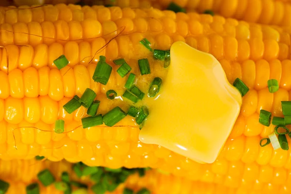 Corn — Stock Photo, Image