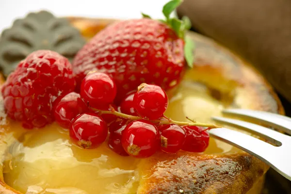 Fruchtkuchen — Stockfoto