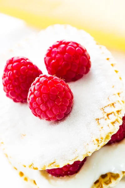 작은 나무 딸기 케이크 — 스톡 사진
