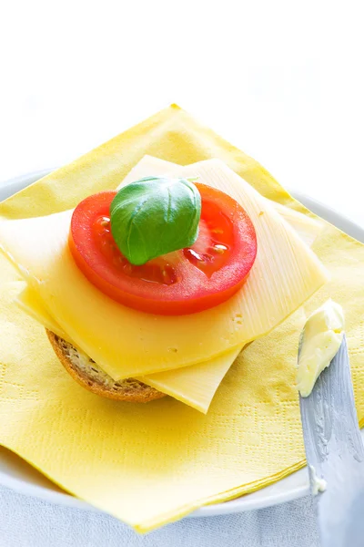Cheese Sandwich — Stock Photo, Image