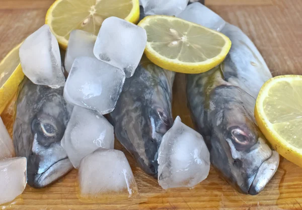 Färsk makrill fisk på isen — Stockfoto