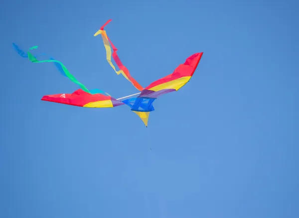 Aquilone e cielo blu — Foto Stock