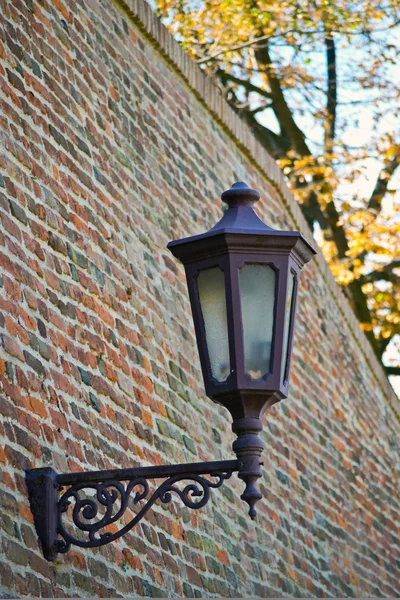 Street lamp on a textured brick wall autumn in the park