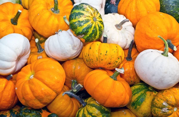Dynie kolorowe asortyment na rynku jesieni — Zdjęcie stockowe