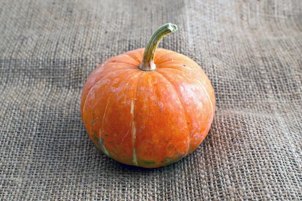 Decorative pumpkin on sacking burlap — Stock Photo, Image