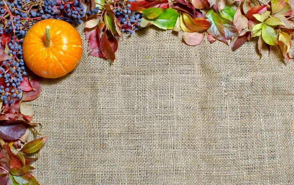 Grunge fondo de otoño con hojas secas aisladas en arpillera de lona —  Fotos de Stock