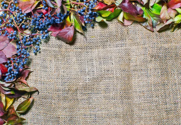 Grunge autumn background with dried leaves isolated on canvas burlap — Stock Photo, Image
