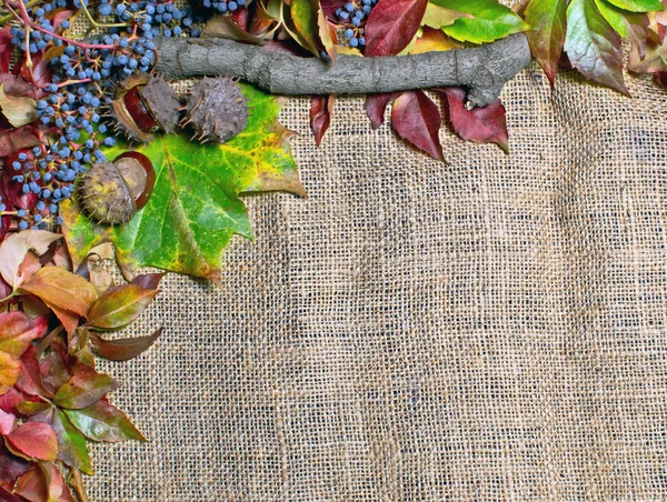 Grunge őszi háttér-vászon zsákvászon elszigetelt szárított levelek — Stock Fotó
