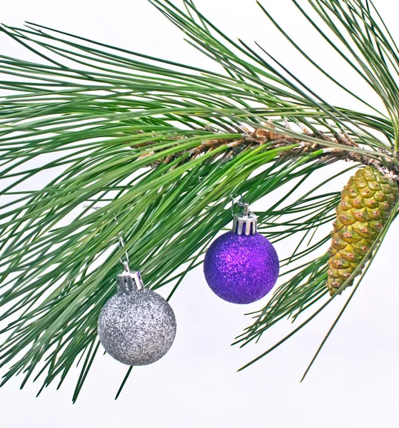 Bola de Natal em ramos de abeto de pinheiro isolados em branco — Fotografia de Stock