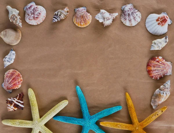 Seashells frame Summer concept — Stockfoto