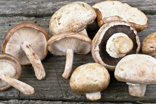 Paddestoelen op hout keukentafel — Stockfoto