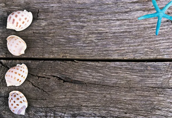 Coquilles de mer et cadre Starfish sur vieux bois vintage — Photo