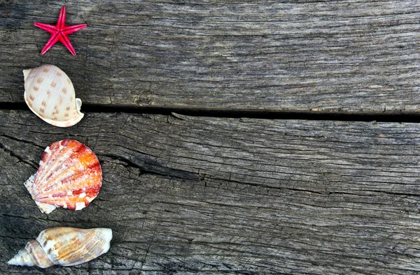 Muscheln rahmen auf altem Holz — Stockfoto