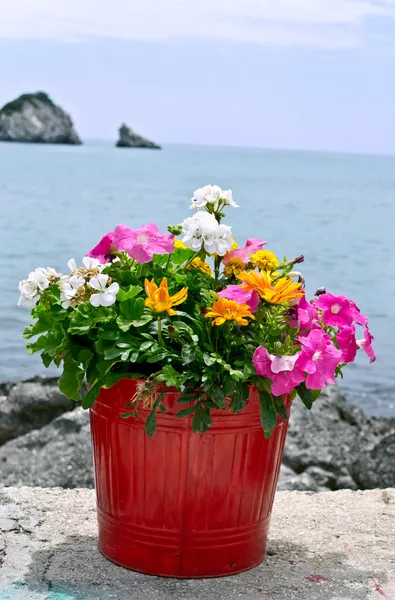 Panela de flores com mar no fundo — Fotografia de Stock