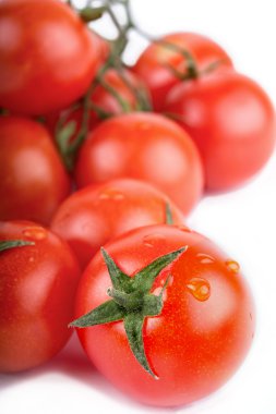 Beyaz üzerine izole edilmiş taze bir kırmızı domates.