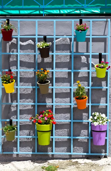 Blomkrukor på vägg — Stockfoto