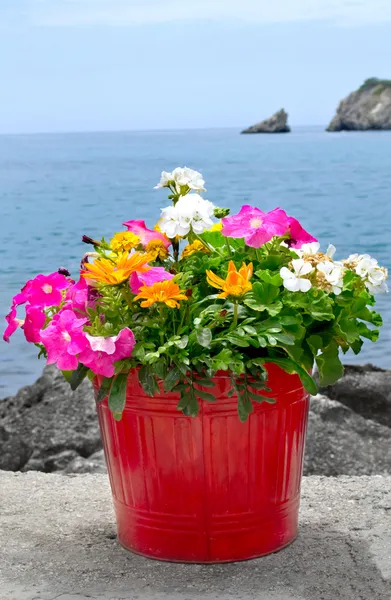 Blumentopf auf Steinmauer mit Meer und Boot im Hintergrund — Stockfoto