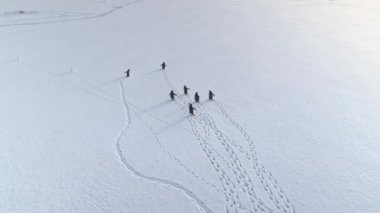 Penguenler, ayak Antarktika kar üzerinde çalışan.