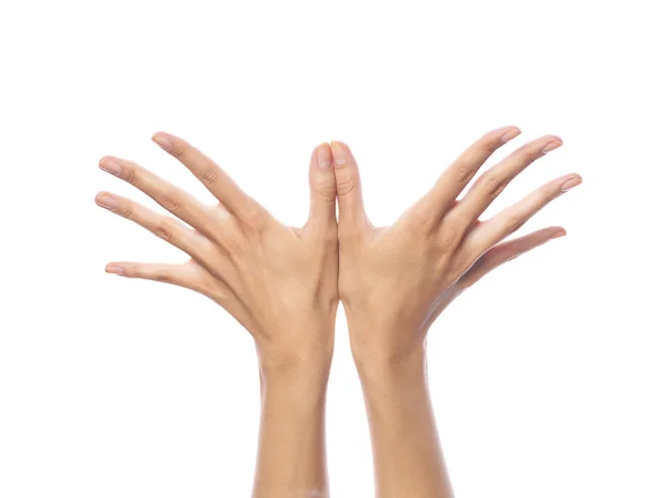 Женские руки — стоковое фото