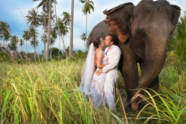 Matrimonio sull'isola — Foto Stock