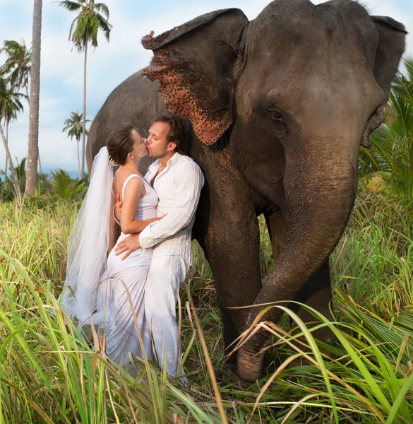 Matrimonio sull'isola — Foto Stock