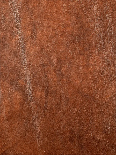 Leather texture closeup — Stock Photo, Image