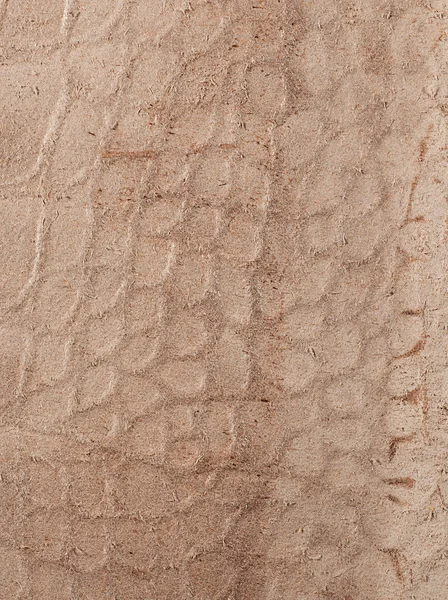 Leather texture closeup — Stock Photo, Image