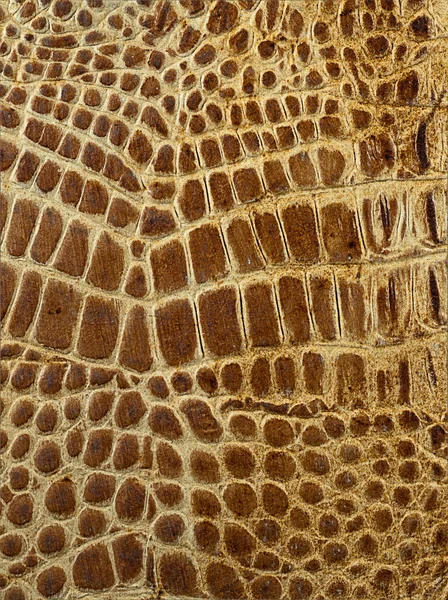 Leather texture closeup — Stock Photo, Image