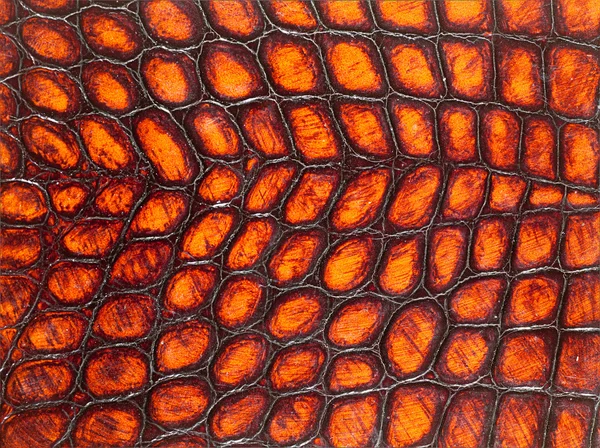 Leather texture closeup — Stock Photo, Image