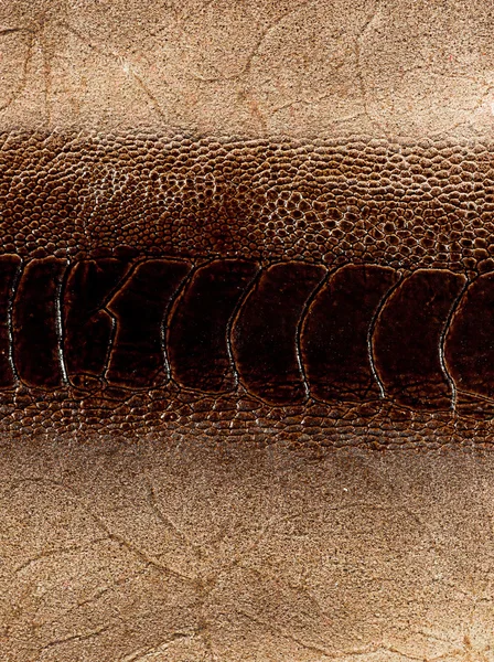 Leather texture closeup — Stock Photo, Image