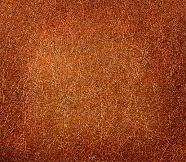 Leather texture closeup — Stock Photo, Image