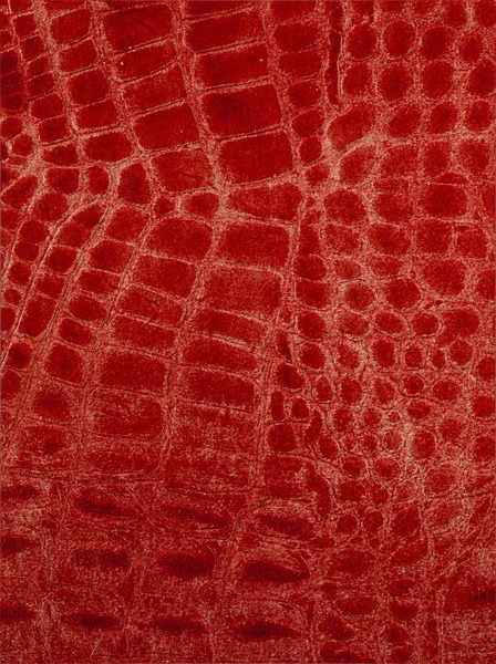 Leather texture closeup — Stock Photo, Image