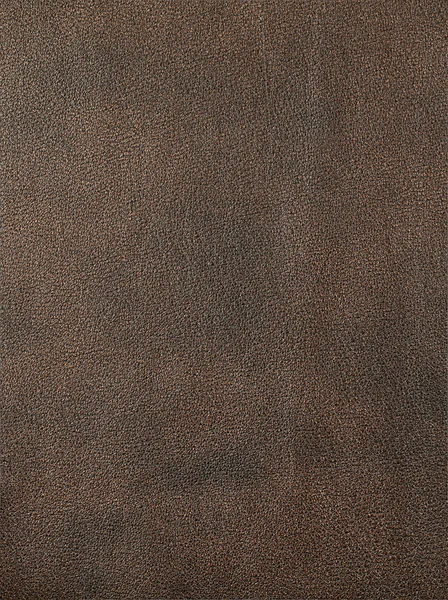 Leather texture closeup — Stock Photo, Image