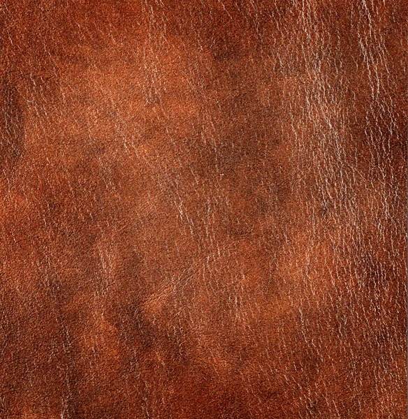 Leather texture closeup — Stock Photo, Image