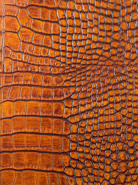 Leather texture closeup — Stock Photo, Image