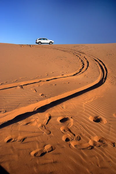 Car in the desert Stock Image