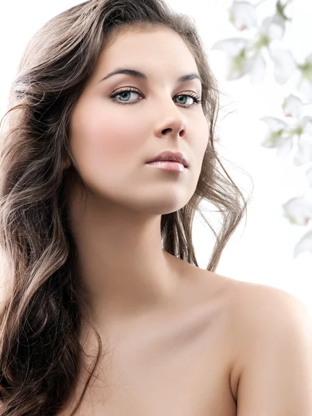 Woman beauty Stock Image