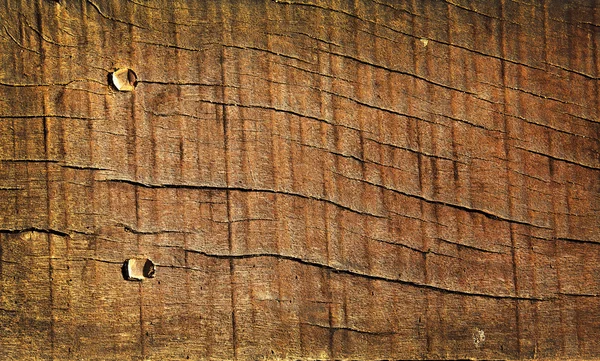 Textura de madeira — Fotografia de Stock