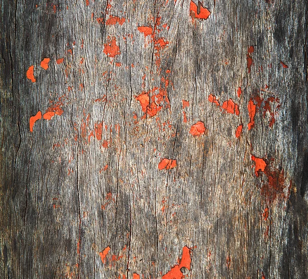 Holzstruktur — Stockfoto