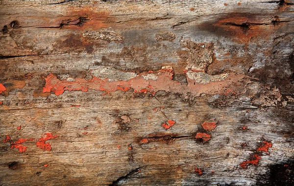 Wooden texture — Stock Photo, Image