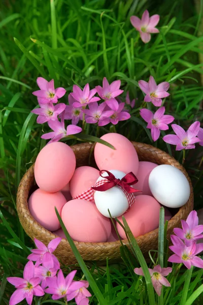 Ovos de Páscoa — Fotografia de Stock