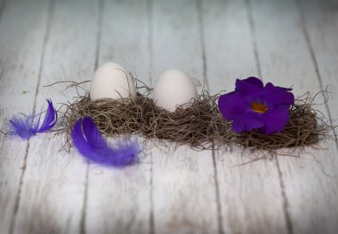 Paskalya yumurtaları