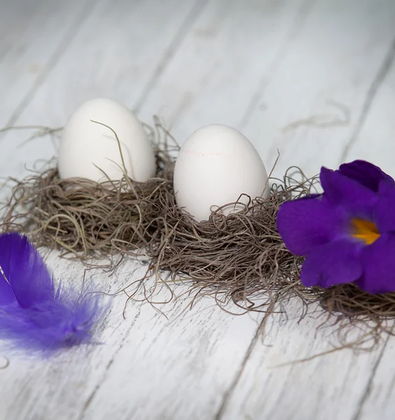 Easter eggs — Stock Photo, Image