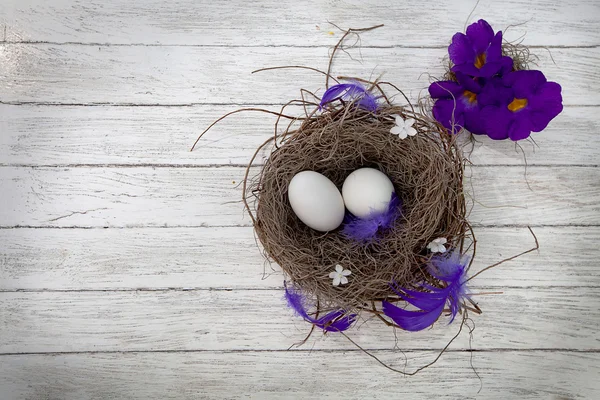 Easter eggs — Stock Photo, Image