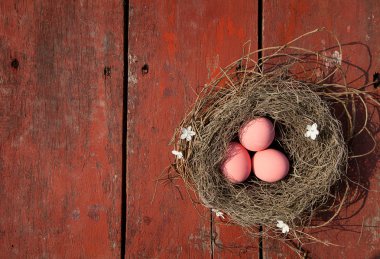 Paskalya yumurtaları