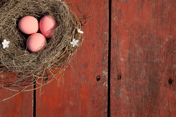 Easter eggs — Stock Photo, Image