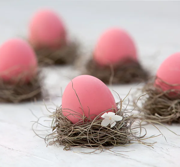 Huevos de Pascua —  Fotos de Stock